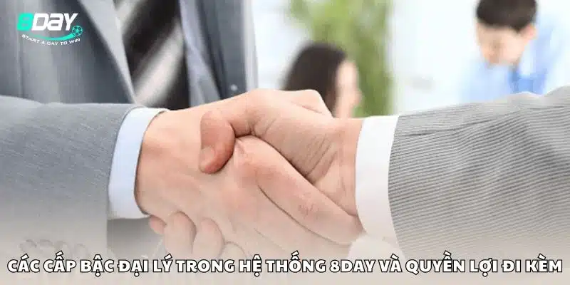 Các cấp bậc đại lý trong hệ thống 8day và quyền lợi đi kèm