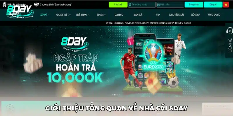 Tổng quan về thương hiệu và nền tảng cá cược 8Day