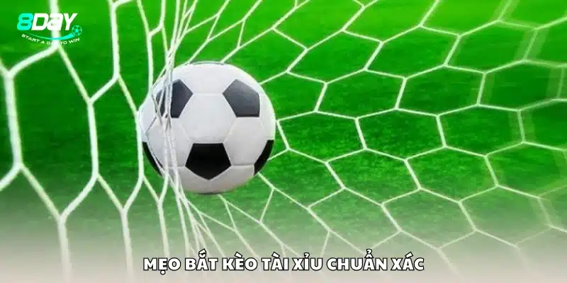 Bí kíp đọc kèo tài xỉu đúng cách cho người mới